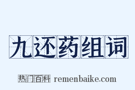 九还药组词是什么意思的图片